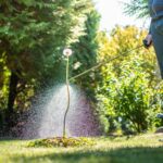Lawn and Garden Care Is Simpler Than You Think Lawn and Garden Care Is Simpler Than You Think