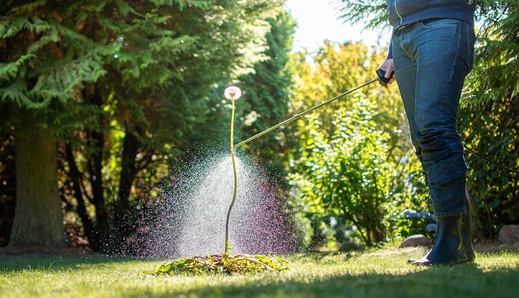 Garden Care