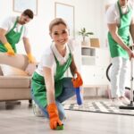 Infestations Control & Home Cleaning Before Diwali Infestations Control & Home Cleaning Before Diwali