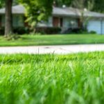 Where to Find the Best Synthetic Turf in Sydney: Your Definitive Guide