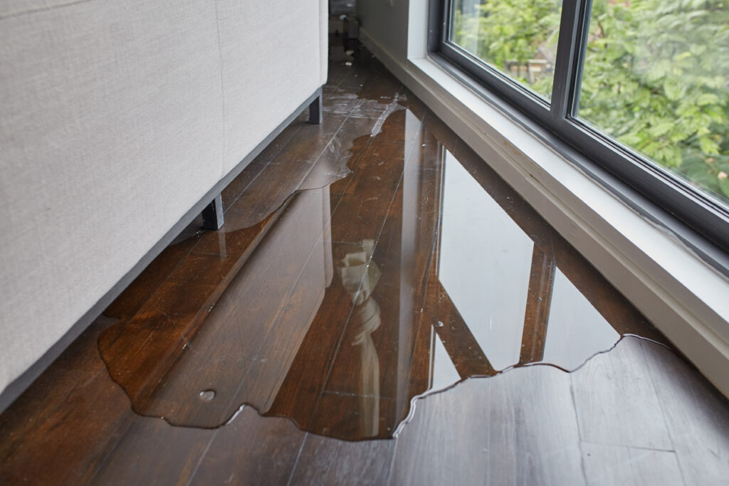 How To Buy The Right Flooring For Your Home?